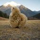 White Baby Alpaca Plushie 25cm X 23 cm Natural Beige