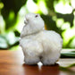 White Baby Alpaca Plushie 25cm X 23 cm