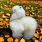 White Baby Alpaca Plushie 25cm X 23 cm